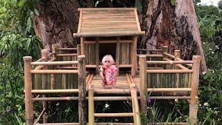 Full video - Baby monkey Bon and Dad worked on the biggest bamboo house project