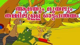 ആമയും മുയലും ഓട്ടമത്സരം | Rabbit And Tortoise in Malayalam Kids Story | Aamayum Muyalum Moral Story