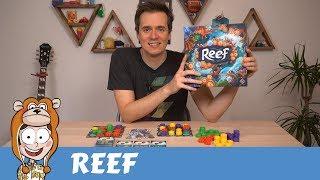 Reef Board Game Review - Actualol