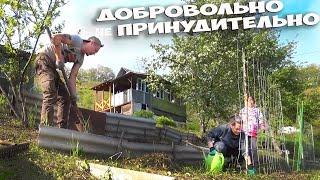 ПОЧЕМУ МОИ ДЕТИ ЛЮБЯТ ДАЧУ... ВСЕЙ МНОГОДЕТНОЙ СЕМЬЁЙ НА ДАЧЕ ! КУПИЛ ЗАБРОШЕННУЮ ДАЧУ ! СТОЛЫЧ