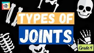 TYPES OF JOINTS | SCIENCE | GRADE 4 | The Study Pod