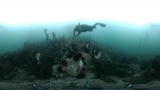 #underwater360 Lime Kiln State Park test shots