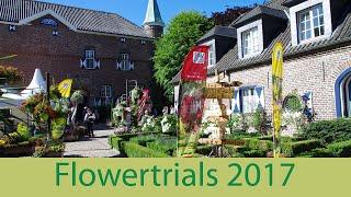 Kientzler auf den Flowertrials 2017 - Neuheiten Beet- und Balkonpflanzen