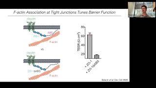 Build-a-Cell seminar Brian Belardi: Dynamic Synthetic Tissue: In Situ Control of Molecular Assembly