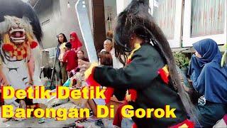 Menakutkan Detik Detik Barongan Galak di Gorok