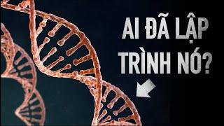 Khoa học gia phát hiện trí tuệ sinh mệnh cao tầng trong 3 tỷ mã DNA?