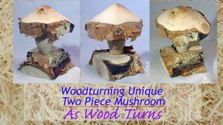 Woodturning Unique Two Piece Mushroom