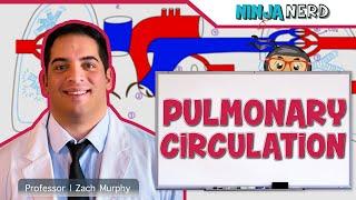 Circulatory System | Pulmonary Circulation