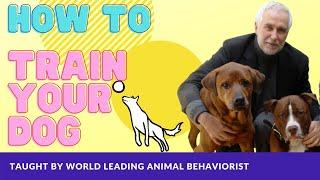 Best Way To Train My Dog With Dr. Ian Dunbar