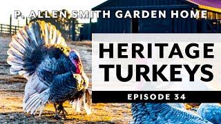 Heritage Turkey Varieties: Moss Mountain Farm | P. Allen Smith (2019)