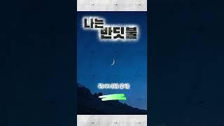 나는 반딧불 황가람 #금송카페 #황금추억 #황금카페 #뮤직카페