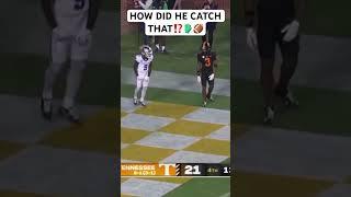 CRAZY ONE HANDED TUDDY!! #cfb #football #highlights