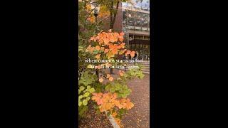 First Signs of Fall at The Wharton School