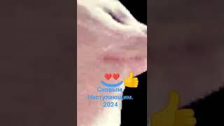 29 декабря 2023 г.