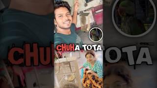 Chuha Tota Ki Ladai | 88/90 | #shorts #minivlog #vlog #90hardchallenge #parrot