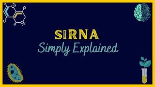 What is siRNA | Simply Explained