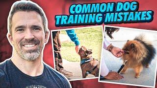 Avoid These Common Dog Training Mistakes (with Nate Schoemer)