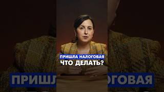 Что делать, если пришла налоговая проверка #налоги #налоговая #пробизнес