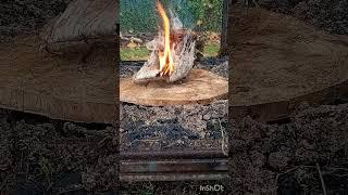 Fire Starter - Birch Bark (((BILLY WILLIAMS)))