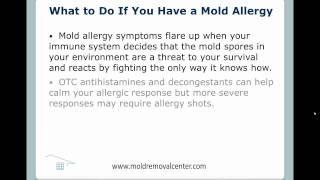 Mold Allergy Symptoms