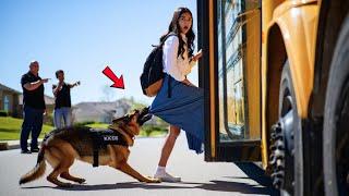 K9 Dog Saved a Girl’s Life – But What He Sensed No Human Could Explain