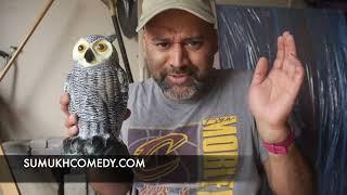 Plastic Owl Decoy Review (Galashield/Amazon)