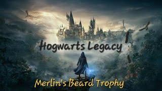 Hogwarts Legacy: Merlin's Beard Trophy