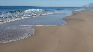 Patara Beach - Patara Sand Dunes The Most Beautiful Beaches in Antalya