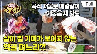 [Full] 다문화 고부열전 - 팔팔한 시어머니, 약골 며느리는 힘들어