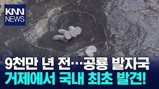 스테고사우루스 공룡 발자국 화석, 국내 첫 발견/ KNN