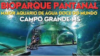  BIOPARQUE PANTANAL - O MAIOR AQUÁRIO DE ÁGUA DOCE DO MUNDO -  Campo Grande, Mato Grosso do Sul