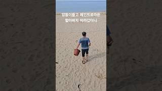 바닷가로 향하는 할아버지를 따라갔더니 #shorts