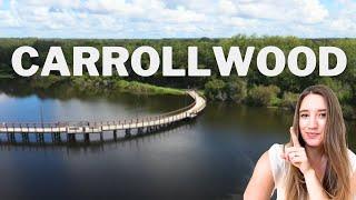 Carrollwood | Best Neighborhoods in Tampa Bay