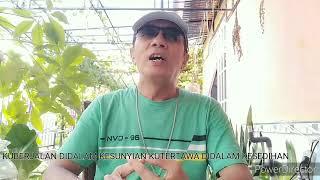 Deritaku Panbers Cover Tedy