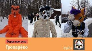 Фурри прогулка в Тропарёво/они на деревьях