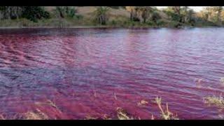 Prophecy Alert: "Water Turns Blood Red In Jordan" / Iran And China Rise In Power