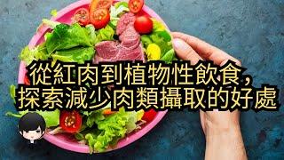 從紅肉到植物性飲食，減少肉類攝取對身體的影響。（附中文字幕）｜健康飲食週報 Healthy Eating Weekly Report