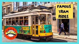 WELLINGTON'S touristy cable car ride (New Zealand)