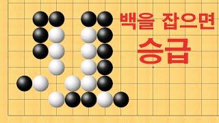 바둑 묘수 사활 - 백을 잡으면 승급 입니다.