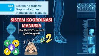 BAB 2 Sistem Koordinasi Manusia || Alat Indra || Hormon Manusia - IPA Kelas 9 Kurikulum Merdeka