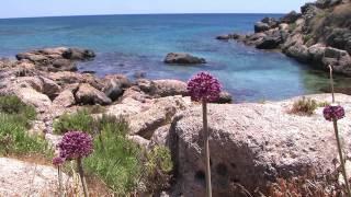 Elafonisi