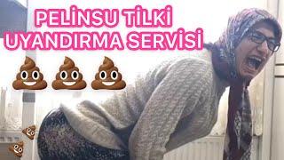 PELİNSU TİLKİ UYANDIRMA SERVİSİ 