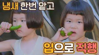 쌈장까지 찍어 먹는 맛잘알 신우의 고추 먹방๑◕‿◕๑ 내가 키운다(naeki) 10회 | JTBC 210917 방송