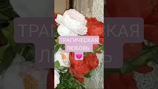 Трагическая любовь Карины Таро