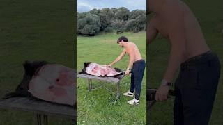 How to eat a wild boar 5  (whole wild boar in foil )