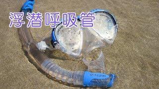 浮潜呼吸管如何选择？|潜水教学Dive Skills:Snorkel