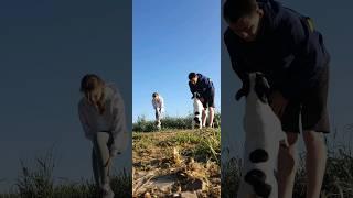 УТРЕННЯЯ ПРОБЕЖКА  С СОБАКОЙ  В ДЕРЕВНЕ ‍️‍️