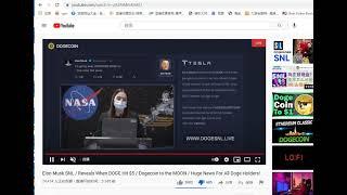 假冒SNL 马斯克直播 骗取几十万狗狗币？？？！   各位千万小心