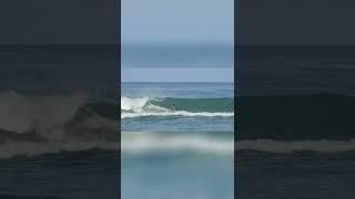 Surf everyday Costa Rica, Pura Vida!