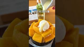 신라호텔 망고빙수 설빙보다 싸게 먹는방법